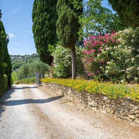 Viola By Interhome Venturina Terme