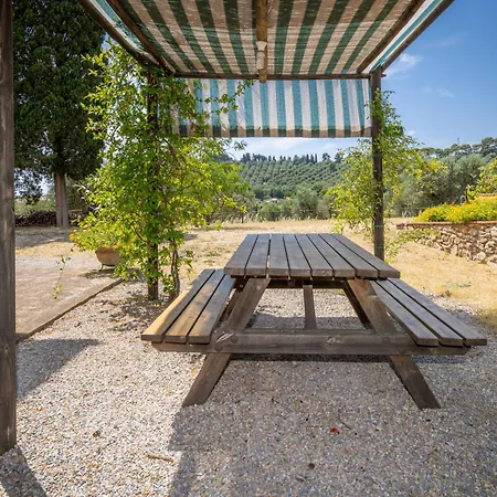 Viola By Interhome Apartamento Venturina Terme